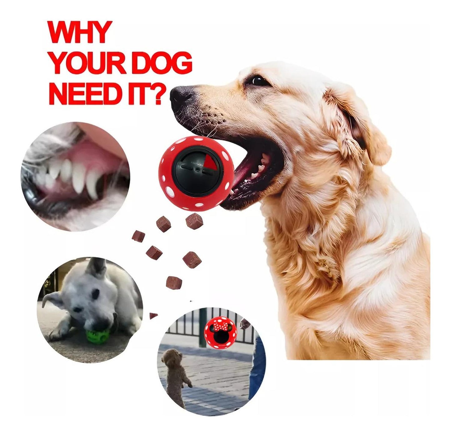 jpg_1500x1500_67687000